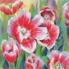 Blumen 2 Art Print
