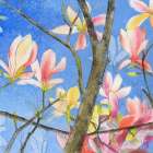 Magnolie 2 Art Print