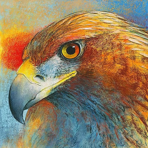 Bussard Art Print by Loes Botman