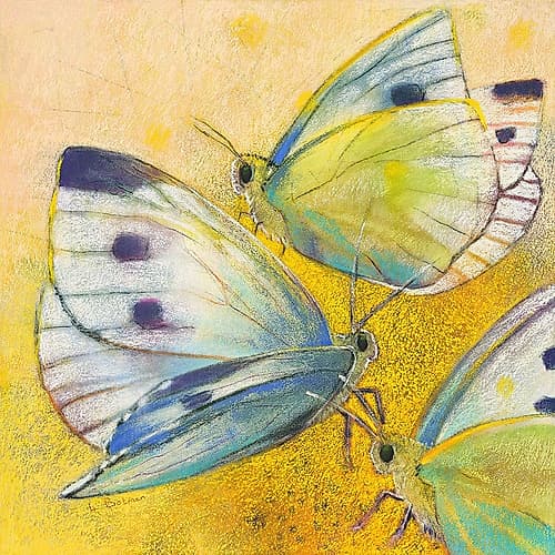 Schmetterlinge Art Print