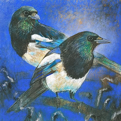 Elstern Art Print