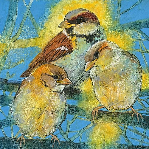Spatzen Art Print