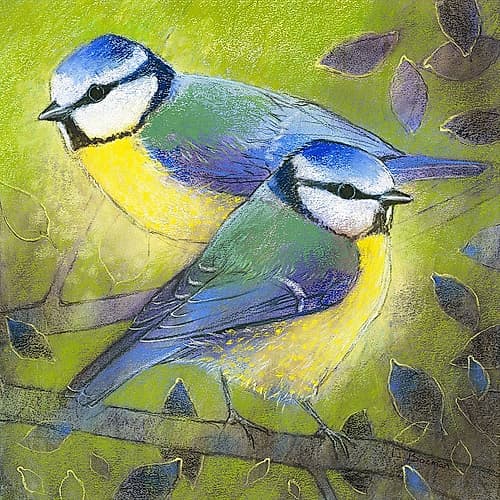Blaumeisen Art Print by Loes Botman