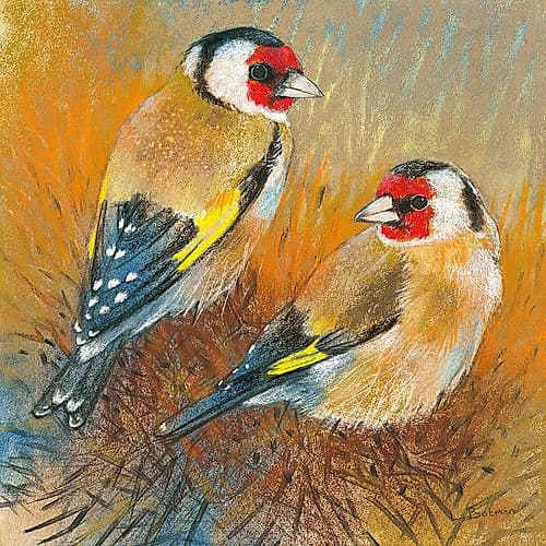 Distelfinken Art Print by Loes Botman