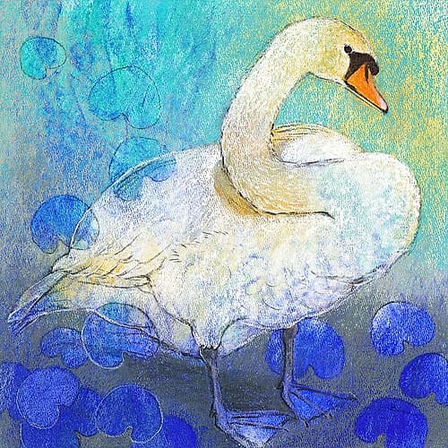 Schwan Art Print