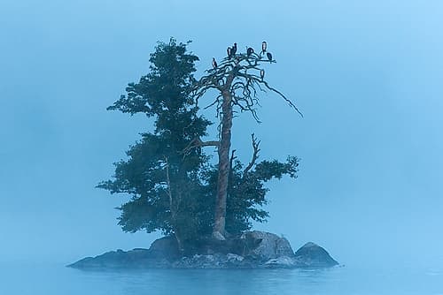 Insel im Klockesjoen Landscape Print