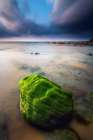 Barrika I Art Print