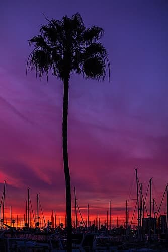 Sunset Sailing Coastal Print