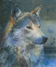 Grauer Wolf Art Print