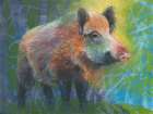 Wildschwein Art Print