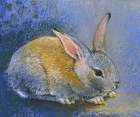 Hase I Art Print