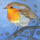 Rotkehlchen Art Print