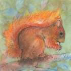 Eichhornchen Art Print