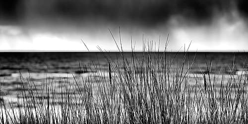 Storm I Coastal Print