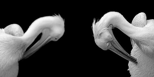 Activity Art Print by Uwe Steger