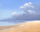 Birds on the Beach Art Print